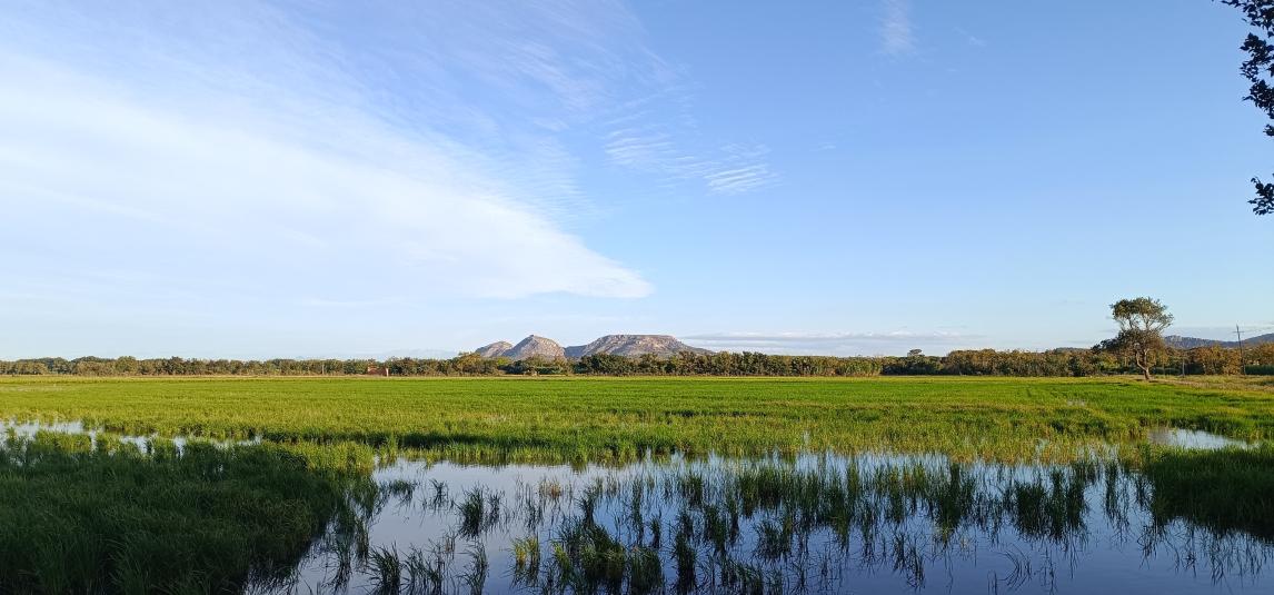 Historia del Hotel Mas Roig