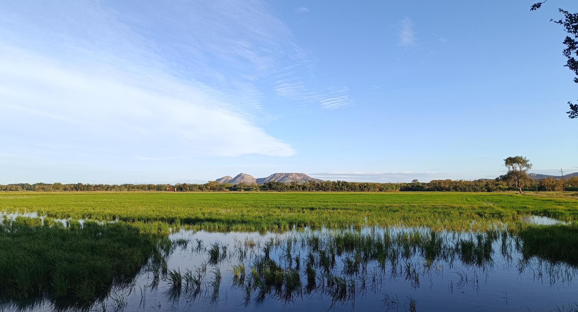 Patrimonio natural e histórico