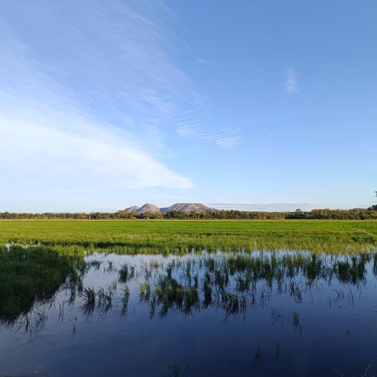Bienvenidos al Hotel Mas Roig