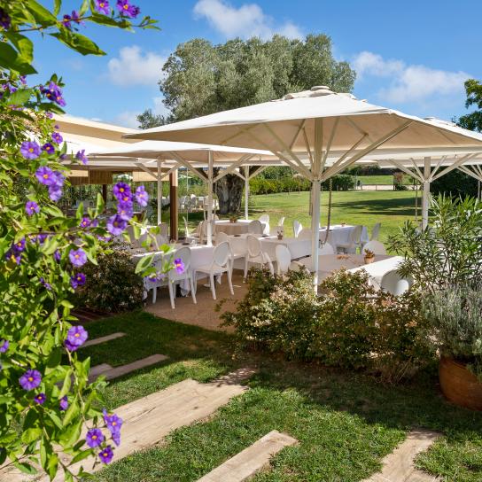 Descubre nuestro hotel