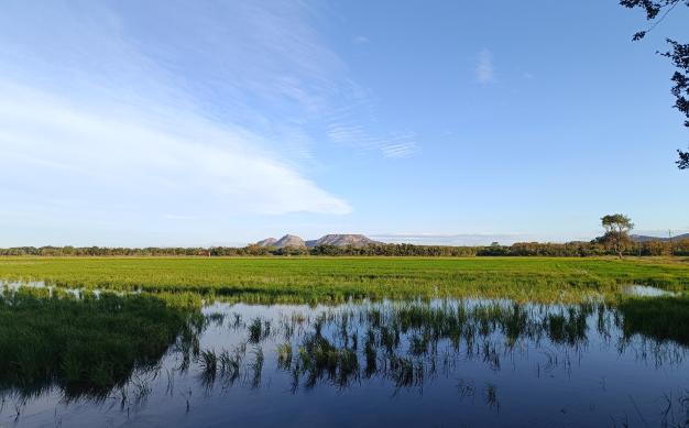 Patrimonio natural e histórico