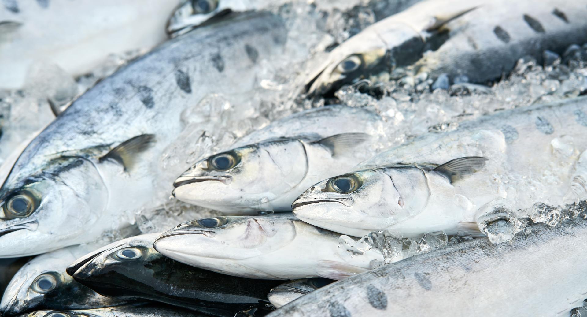 Mercados, ferias y shopping