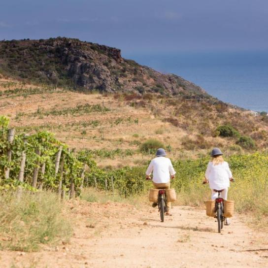 Bienvenidos al Hotel Mas Roig