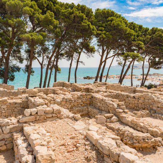 Bienvenidos al Hotel Mas Roig