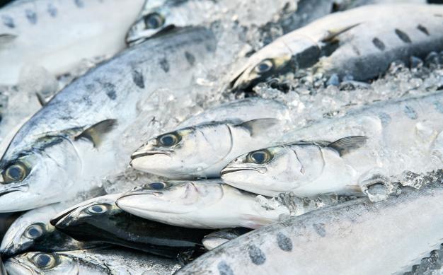 Mercados, ferias y shopping