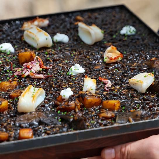 Bienvenidos al Hotel Mas Roig